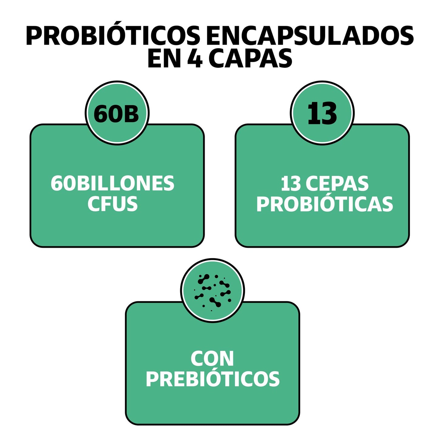 Probióticos 60 billions (Con prebióticos) - 60 cápsulas